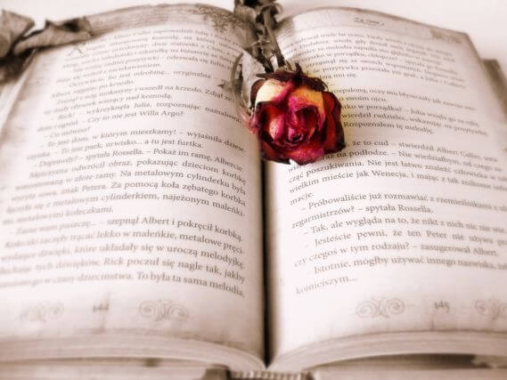 Cada 23 de abril se celebra en Cataluña el día de Sant Jordi, que se caracteriza por sus rosas y sus libros. / Cortesía