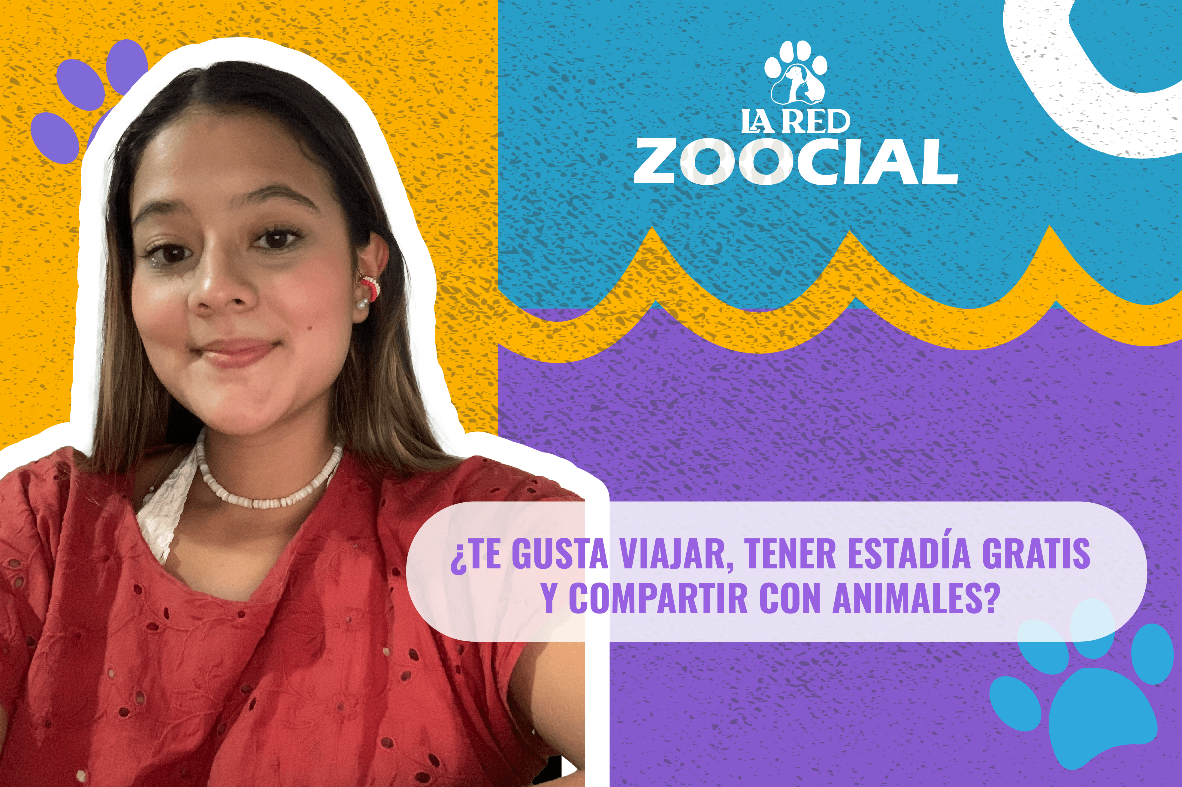 Plataformas que ofrecen estadía gratis en el mundo a cambio de cuidar mascotas