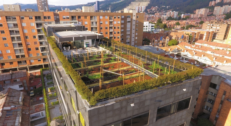 CityHuertas espera cerrar el año con tres sedes. La que funciona actualmente se encuentra en el barrio Cedritos. /CityHuertas