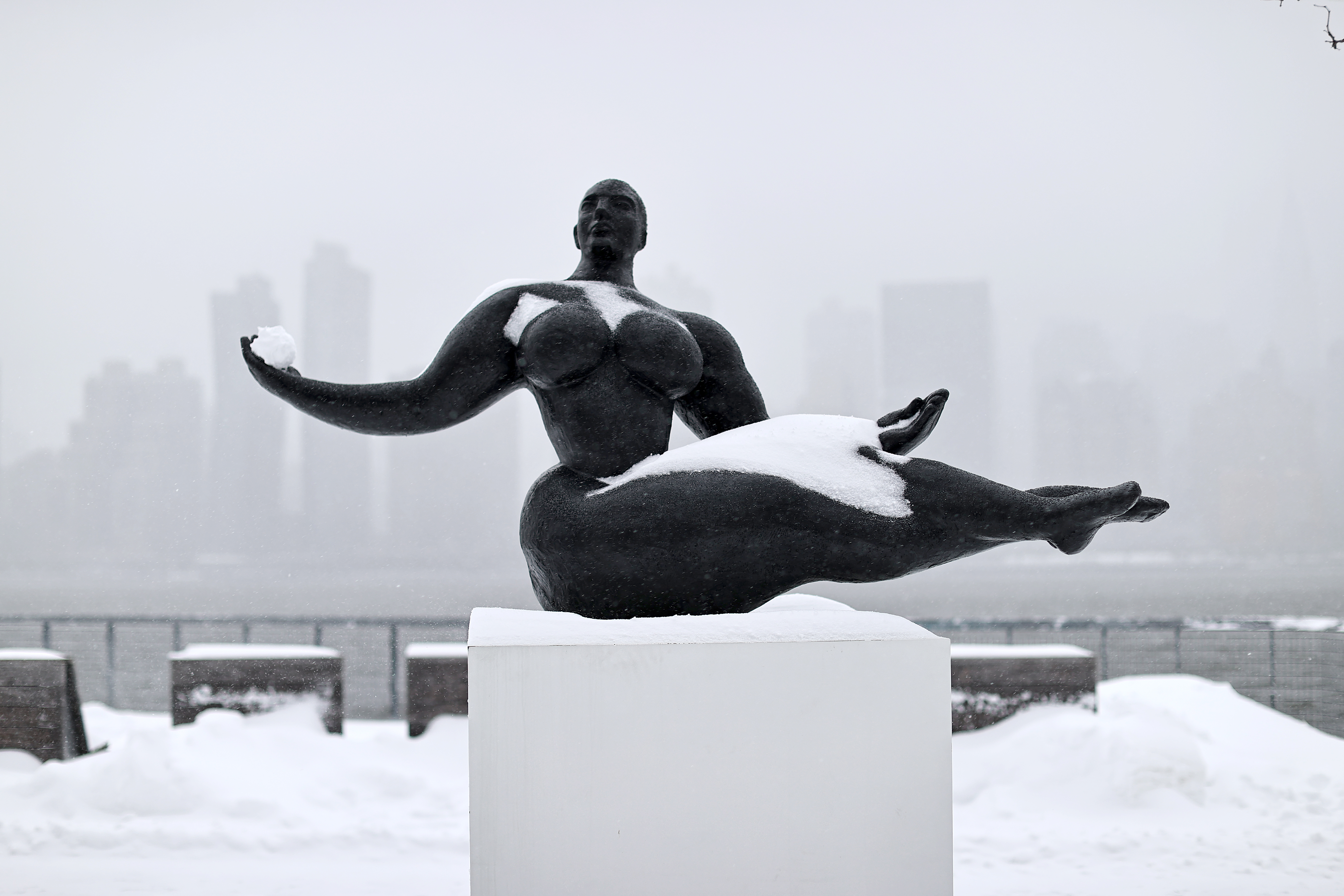 Histórica nevada en Nueva York: sería la octava más fuerte en la historia de la ciudad