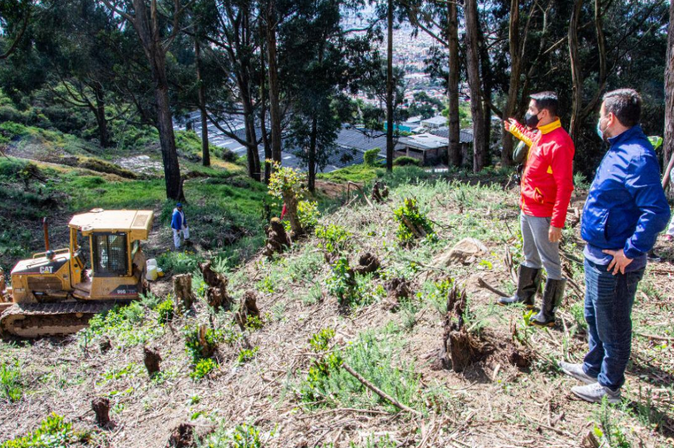 Las deforestaciones aumentan la probabilidad de incendios forestales.