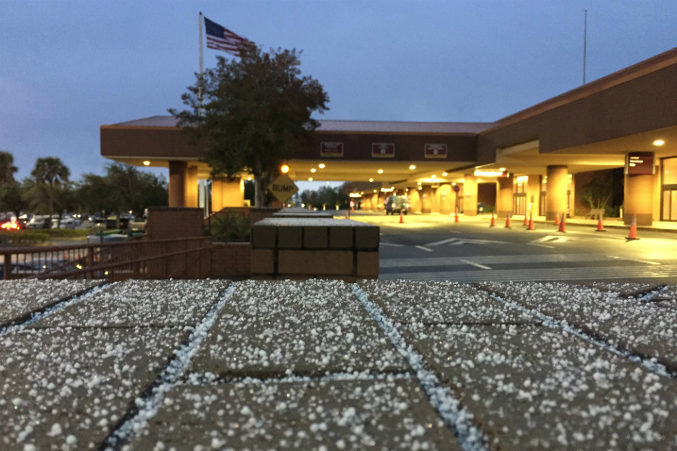 Tallahassee, la ciudad de Florida donde volvió a nevar después de 30 años