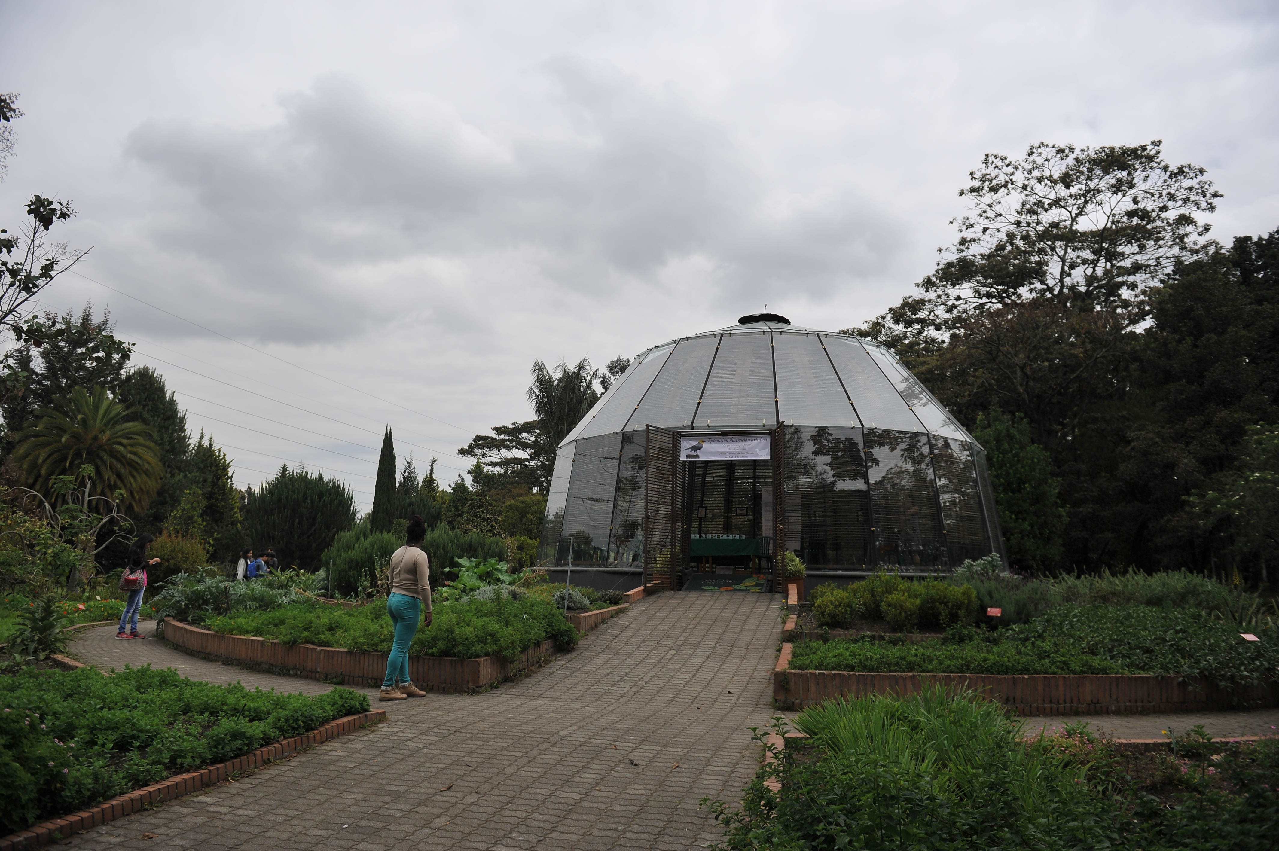 Celebre el día Mundial del Medio Ambiente en el Jardín Botánico Bogotá