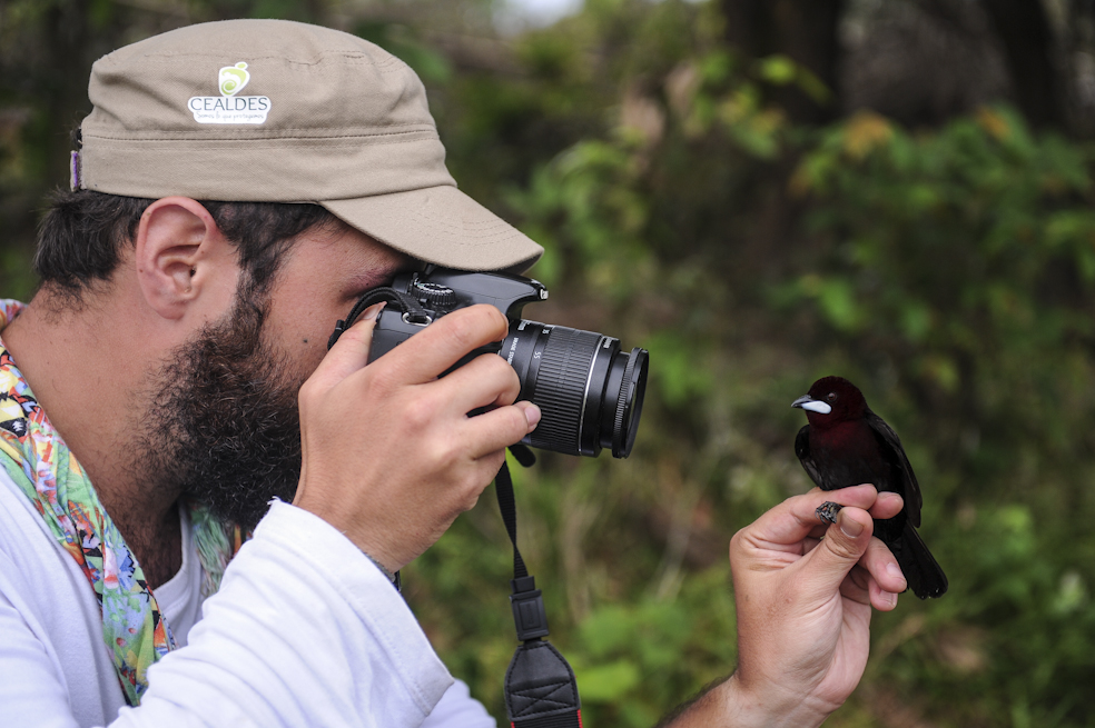 Expedición a la Colombia salvaje