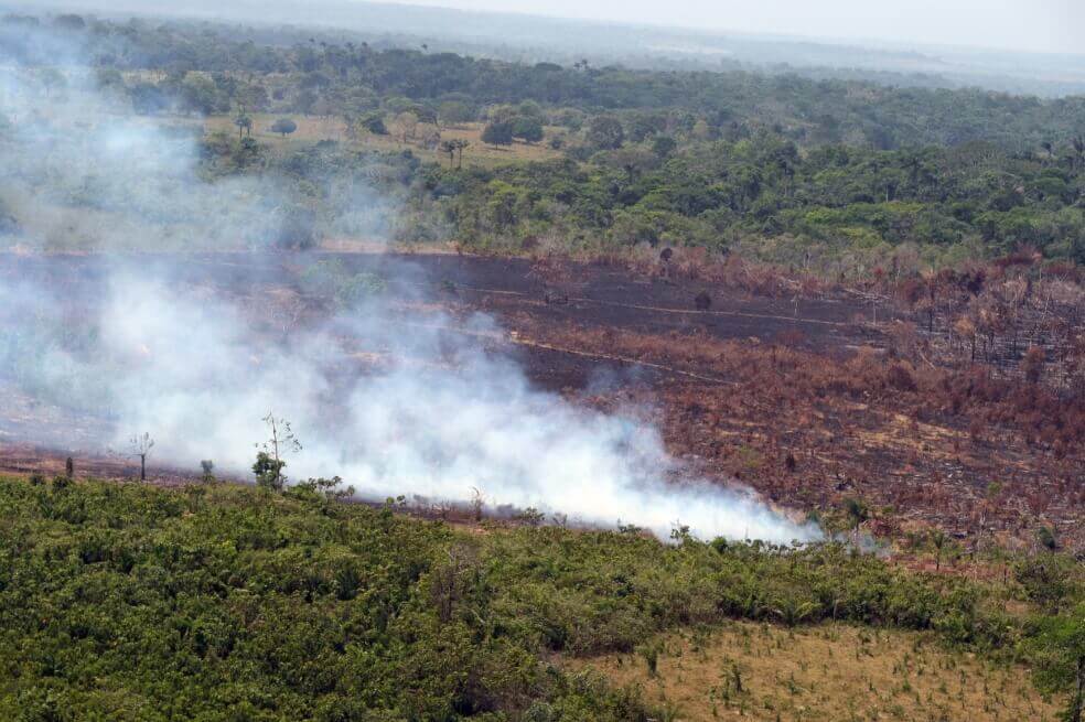Tres claves para saber qué pasó con los incendios de La Macarena