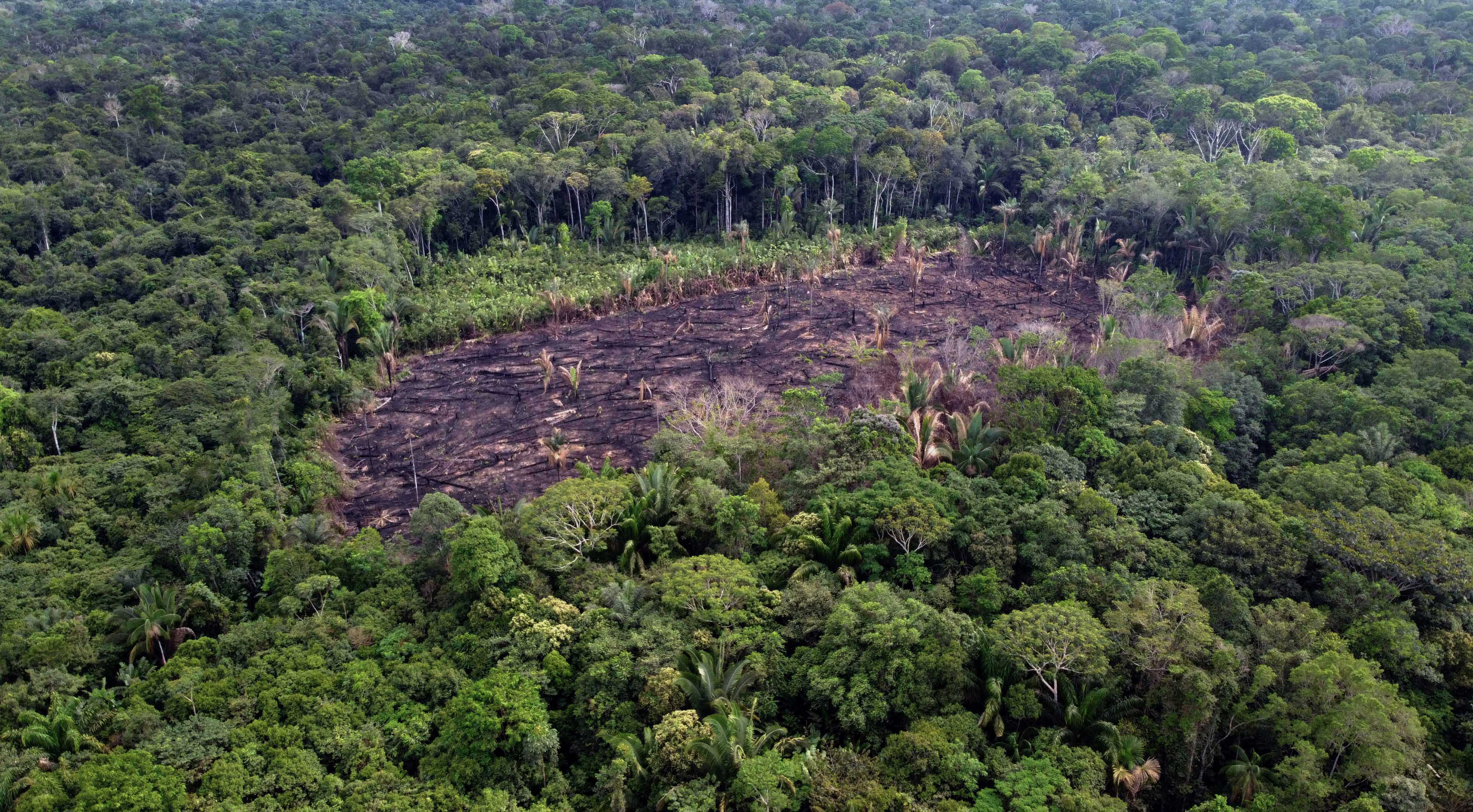 La deforestación en la Amazonía brasileña rompió su récord en abril