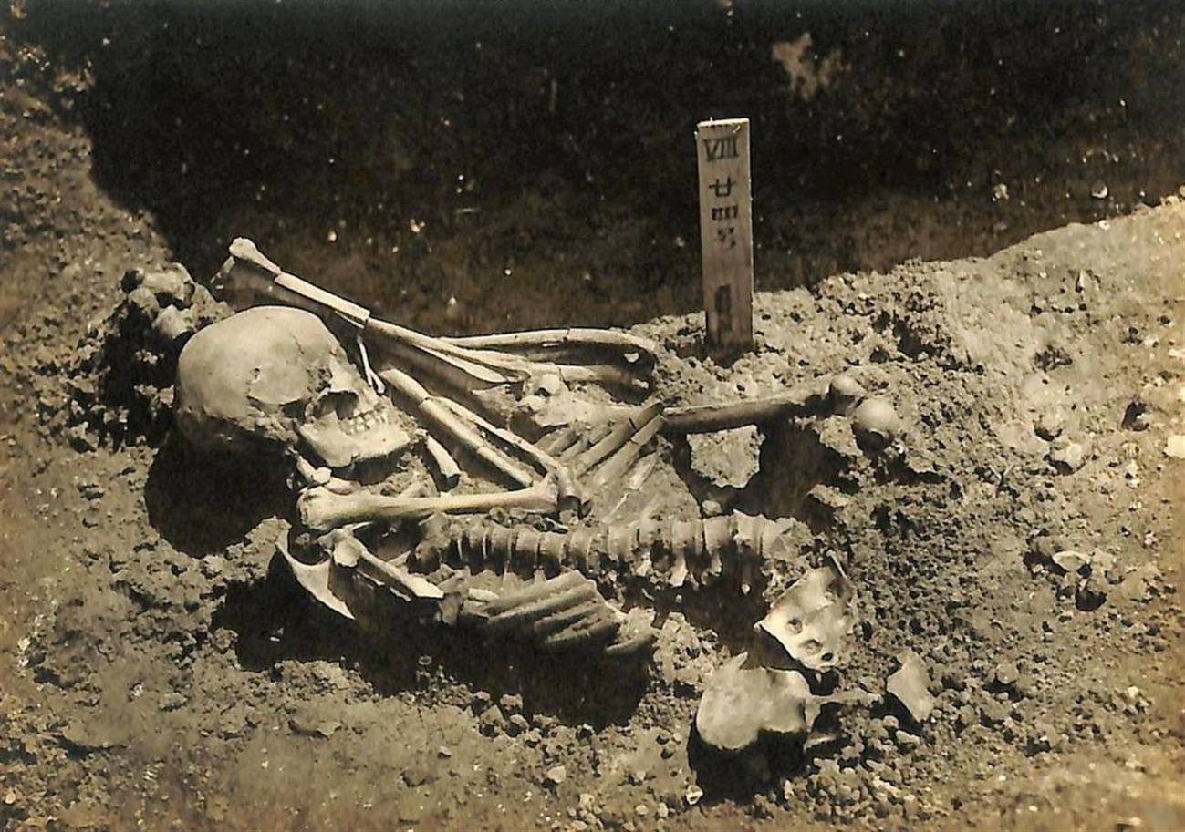 Un hombre que murió hace 3.000 mil años, la primera víctima conocida de un tiburón