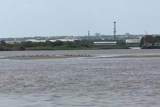 Intervendrán islote que se formó cerca de zona portuaria de Barranquilla