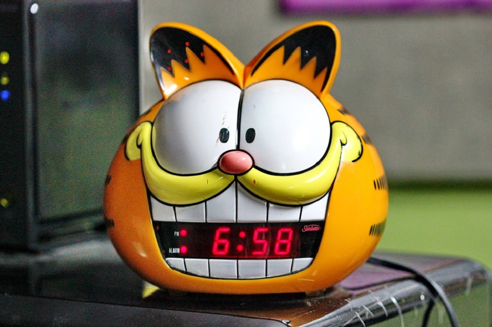 Garfield cumple 40 años, esta es su historia