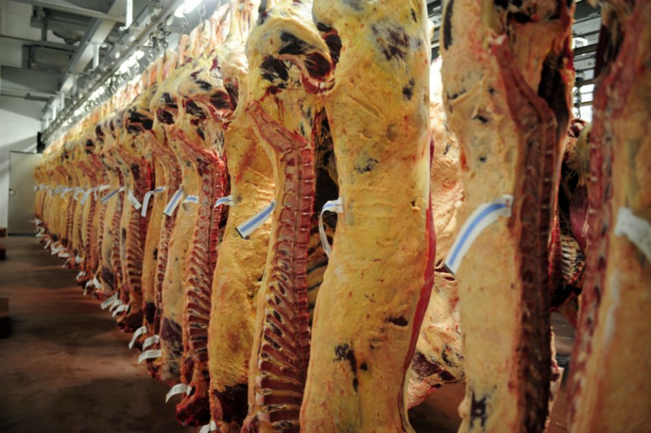 Con inversión de $30.252 millones gobierno busca elevar exportaciones de carne
