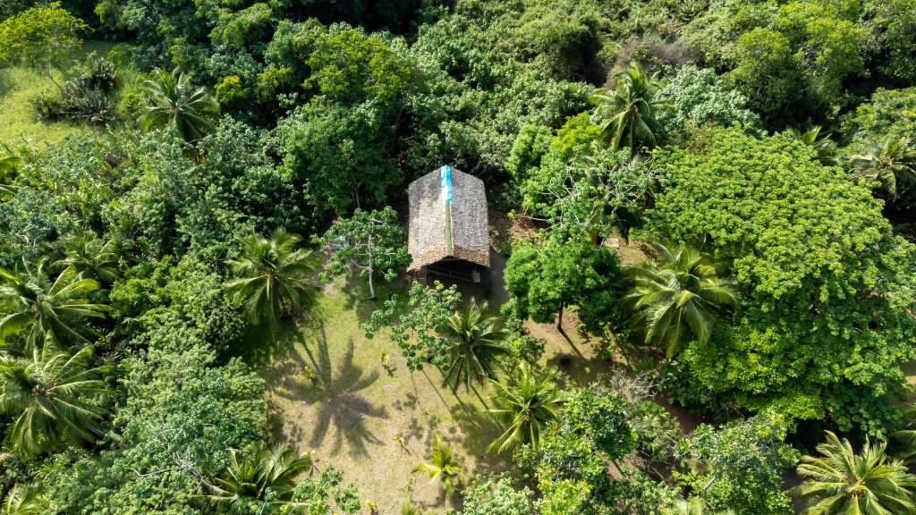 El Jardín Botánico del Pacífico es un espacio dedicado a la conservación, investigación y educación ambiental en uno de los lugares más biodiversos del país. Involucra a la comunidad local en prácticas sostenibles y estudios de fauna y flora nativas.