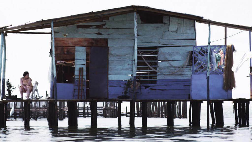 Sentencia sobre la autoría de la película “La Ciénaga, entre el mar y la tierra”
