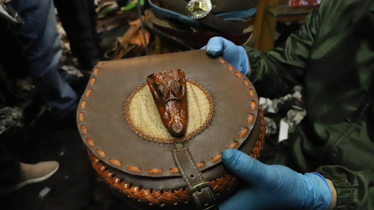 Los artículos confiscados corresponden a partes de halcones, águilas, avestruces, venados, babillas, serpientes, y una tortuga morrocoy.