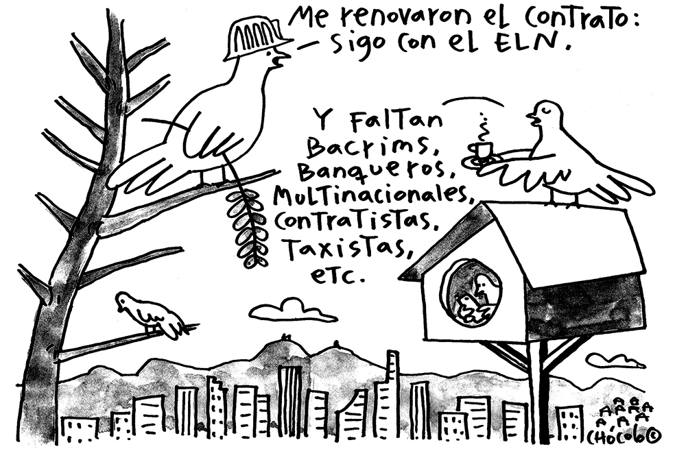 Chócolo