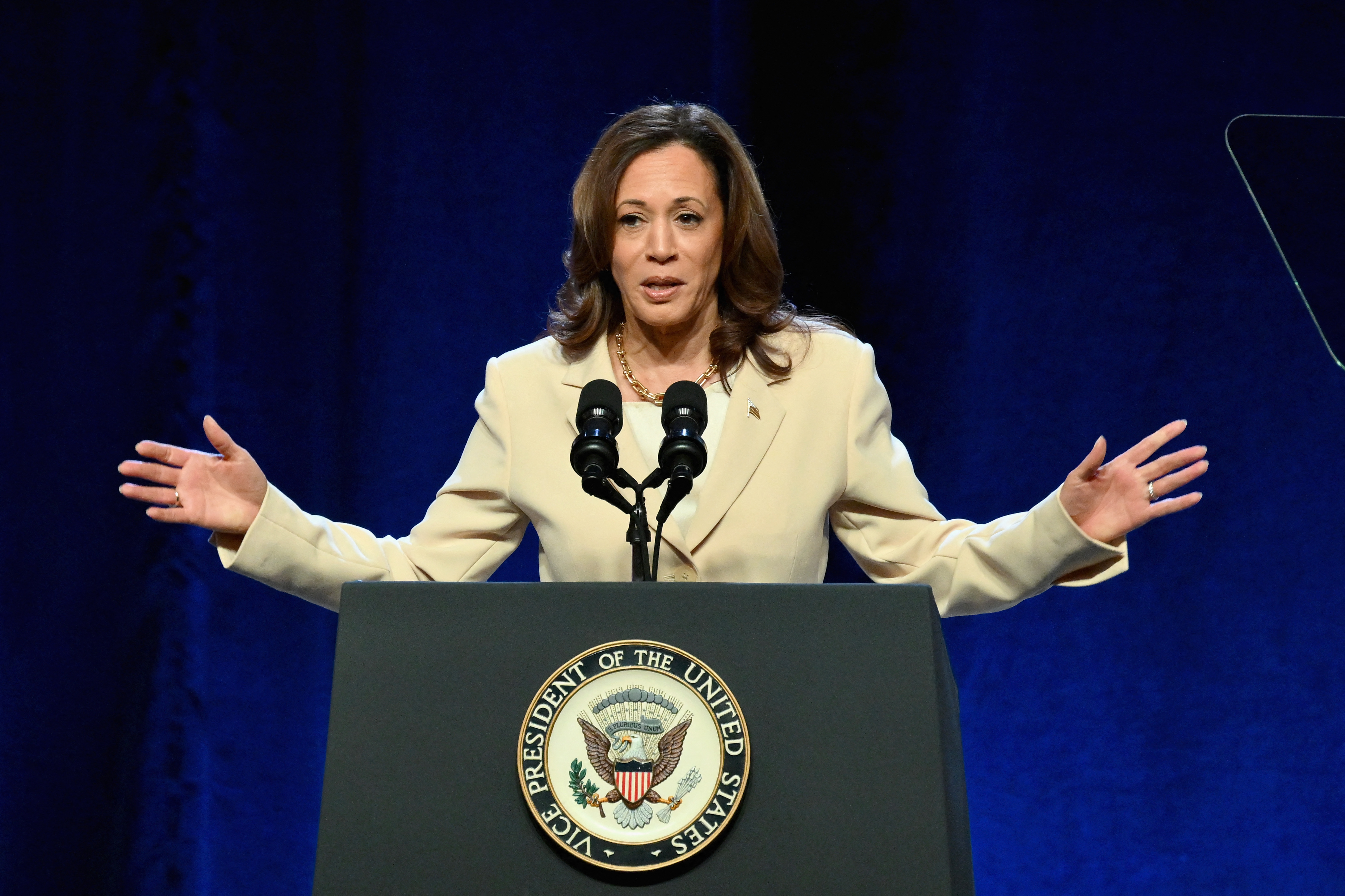 (FILES) US Vice President Kamala Harris speaks at the Constitutional Convention of the UNITE HERE hospitality union in New York on June 21, 2024.