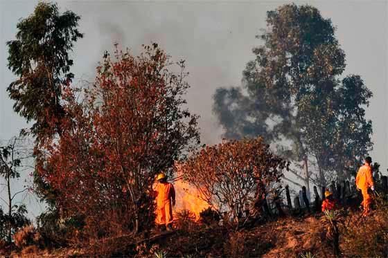Se presenta incendio en el occidente de Cali