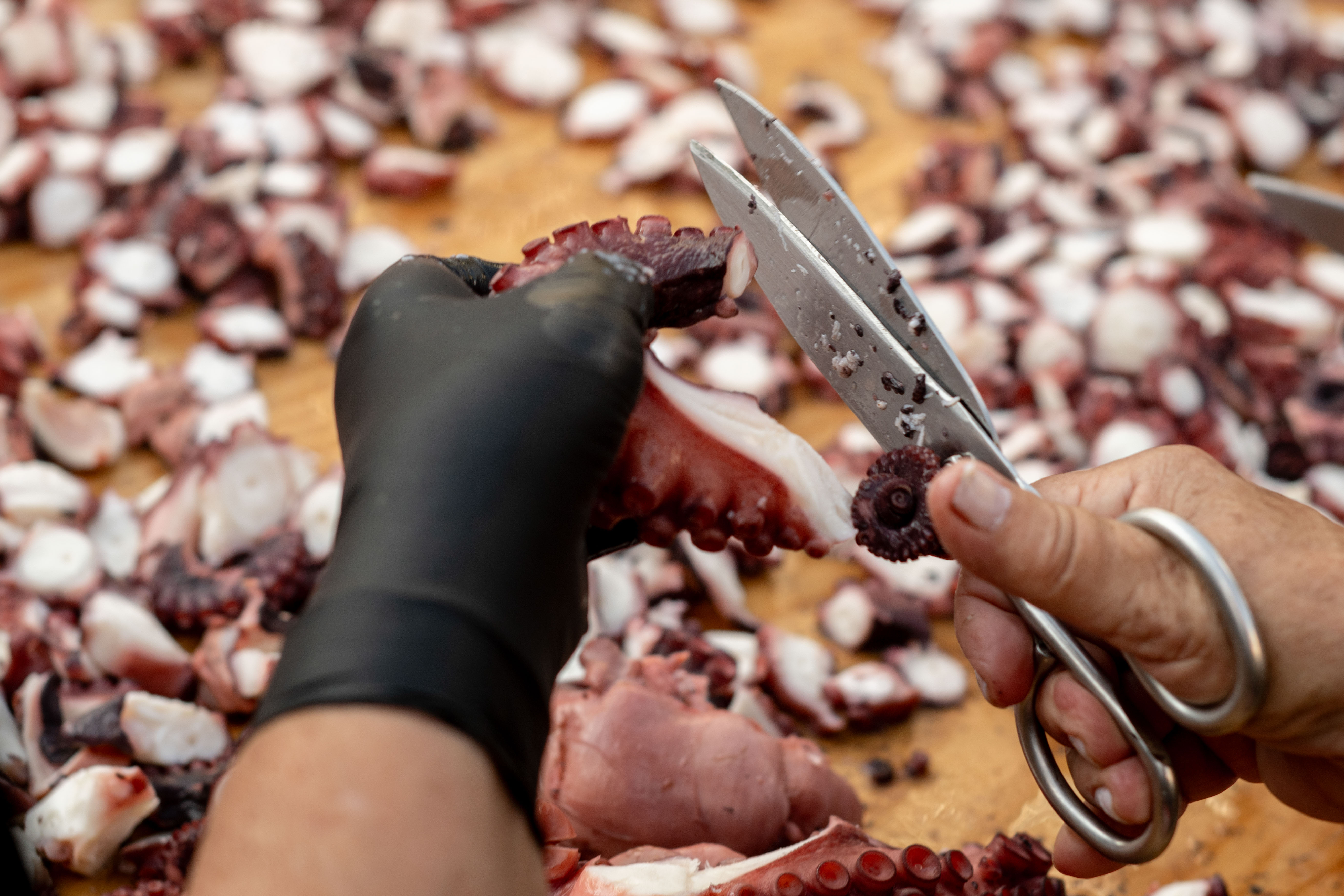 O CARBALLIÑO (OURENSE), 06/08/2024.- Los pulpeiros de O Carballiño (Ourense) han sido capaces de batir una edición más su propio récord con una tapa 'olímpica' de pulpo en la que han empleado cerca de 600 kilos de cefalópodo. La Plaza Mayor de la localidad ourensana ha vuelto a ser el escenario de una megatapa de 5,37 metros de diámetro. EFE/Brais Lorenzo