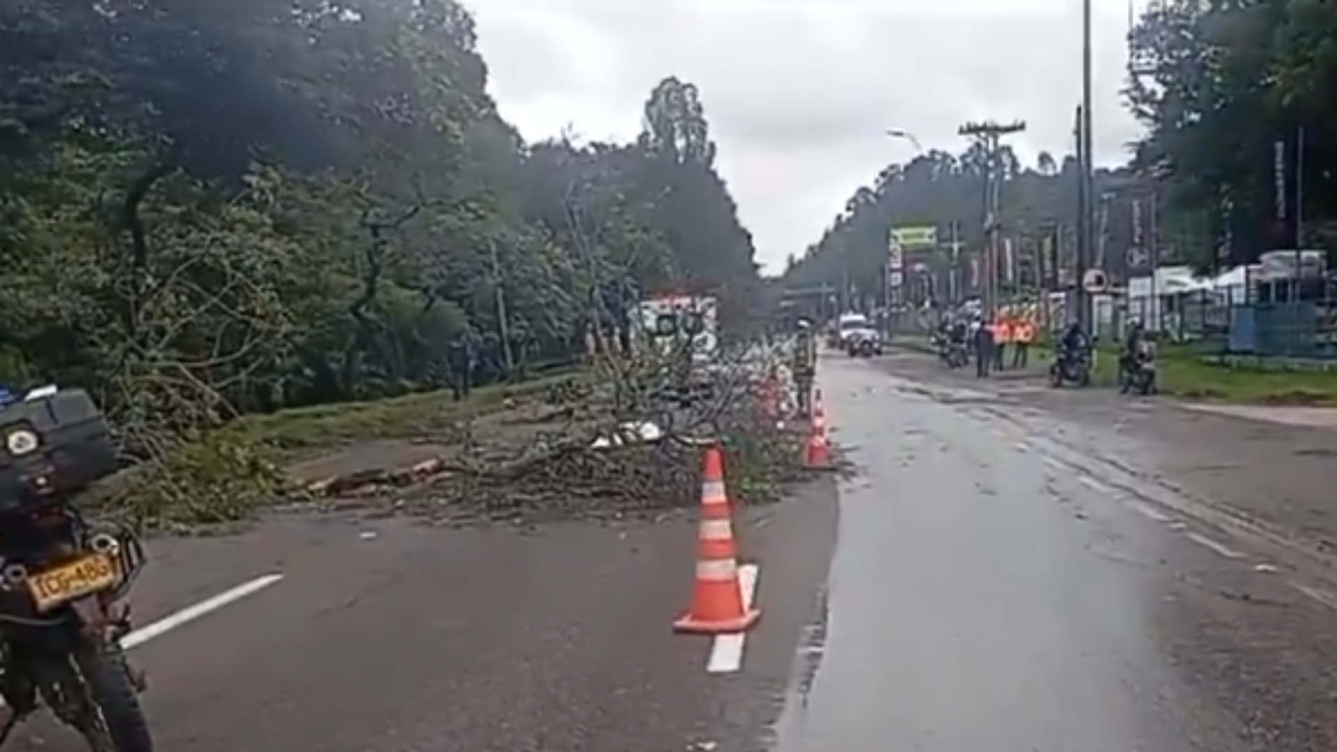 Motociclista murió por caída de árbol en Bogotá: “no se sabe el último adiós”