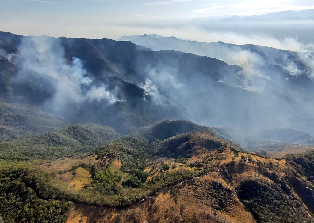 Huila, Cauca y Tolima son los casos más críticos.