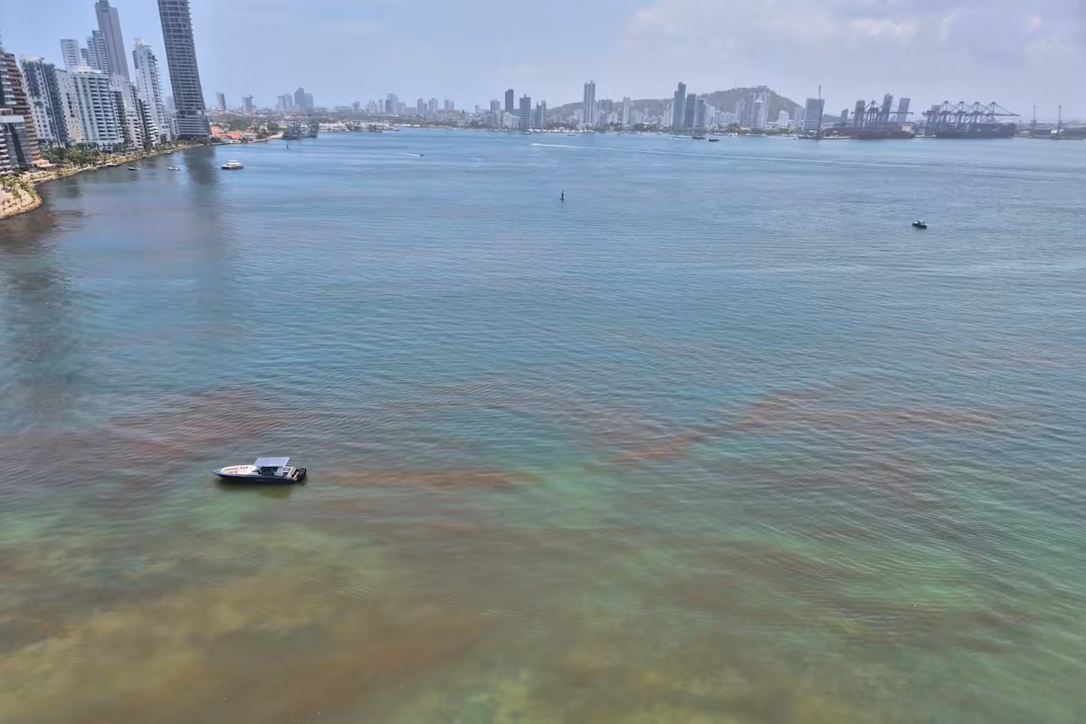 Investigan aparición de extraña mancha en bahía de Cartagena