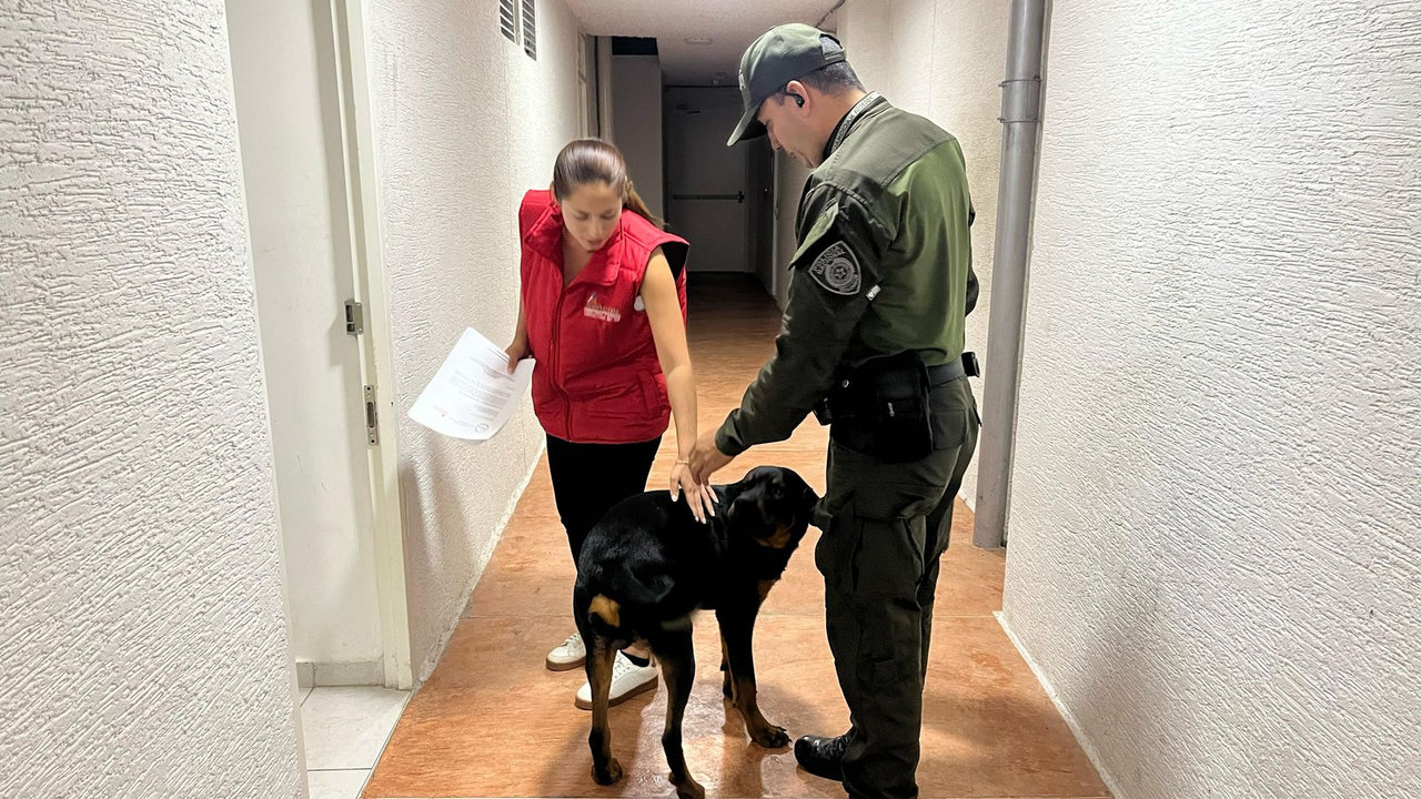 Salvan a Prometeo, el perrito que vivía atado y expuesto en un balcón