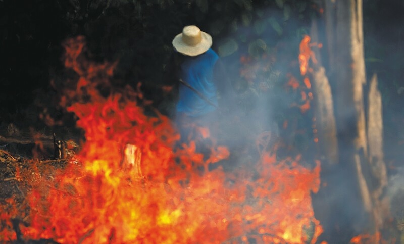 ¿Qué podemos hacer por el Amazonas mientras se quema?