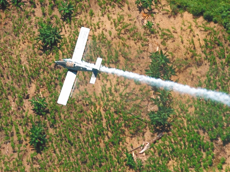 Policía debe reparar a campesino por fumigar con glifosato finca ganadera