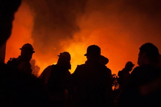 Recientes lluvias redujeron un 70% los incendios forestales en Tolima