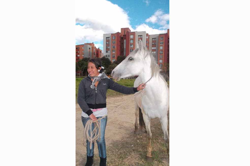 Caballos jubilados en la Universidad Nacional