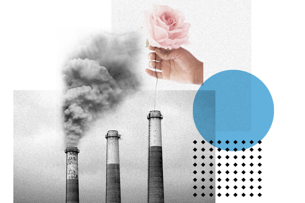 Una recuperación que nos haga más resilientes con miras al cambio climático