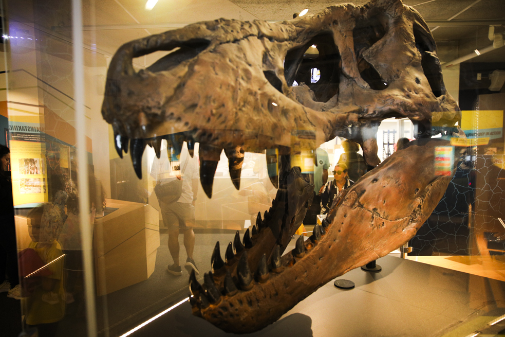 Museum of Science