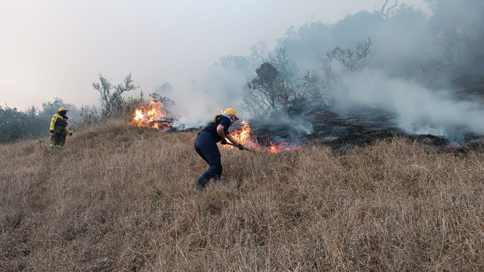 Incendio en Chocontá deja 25 hectáreas afectadas.