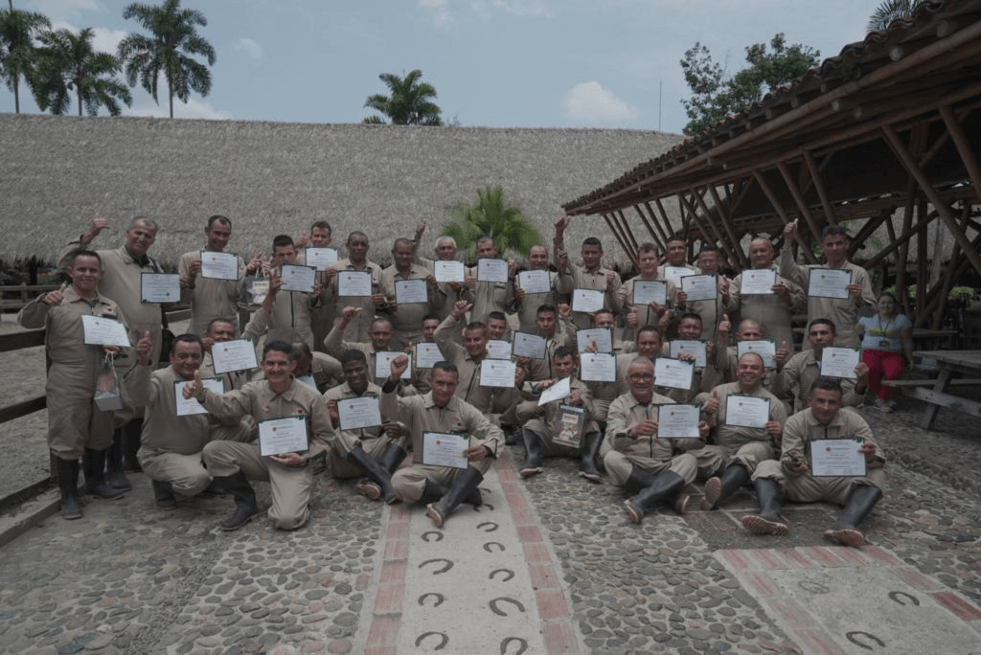 36 excombatientes de las Farc se graduaron en Quindío como técnicos agropecuarios