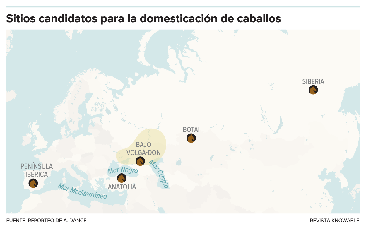 caballo