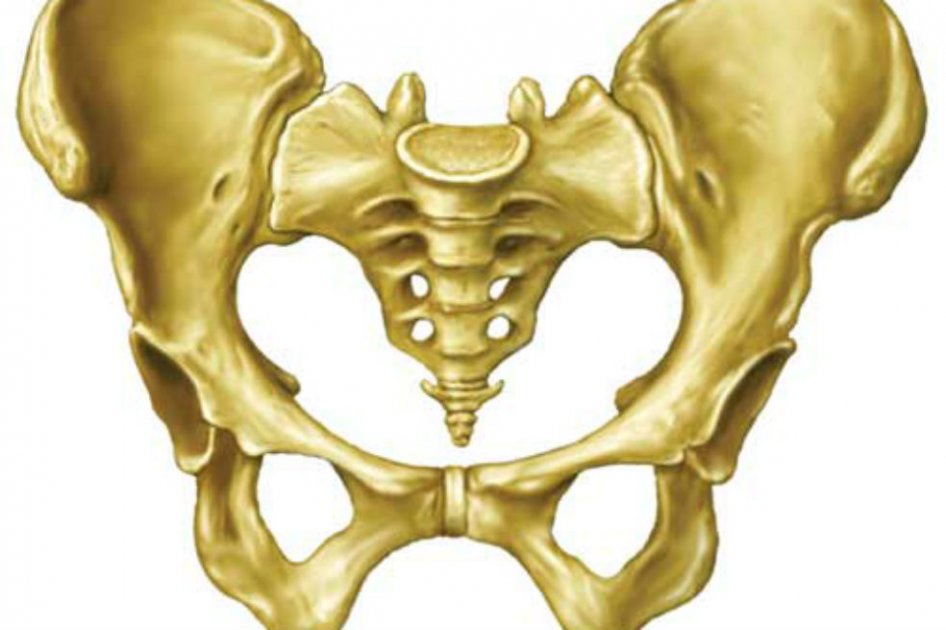 Exitoso trasplante de pelvis creada con una impresora 3D