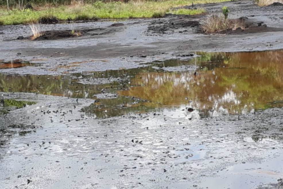 El nuevo «derrame» de petróleo es por causas naturales y hay muchos más en el país