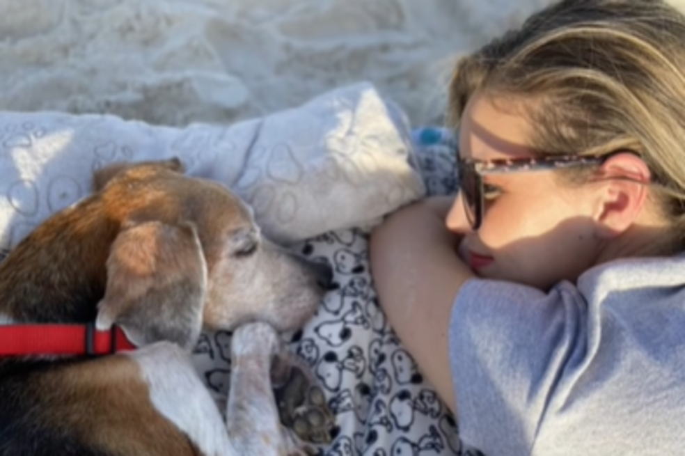 Familia despide a su perro en la playa para que pase allí sus últimos momentos