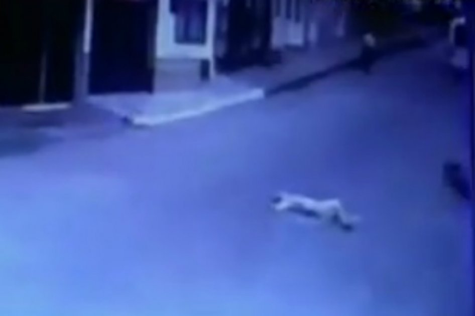 Captura del video. 