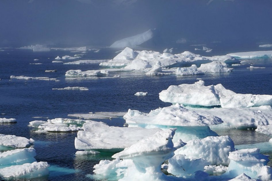 En el Ártico, crean la reserva natural más grande del mundo