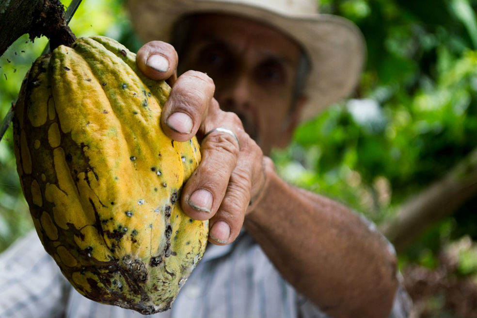 Bogotá será sede de "La casa del chocolate 2018″