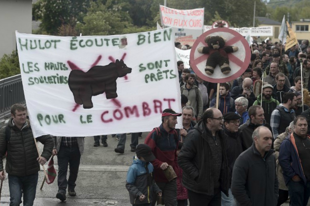Protestas en el sur de Francia por un programa para reintroducir osos