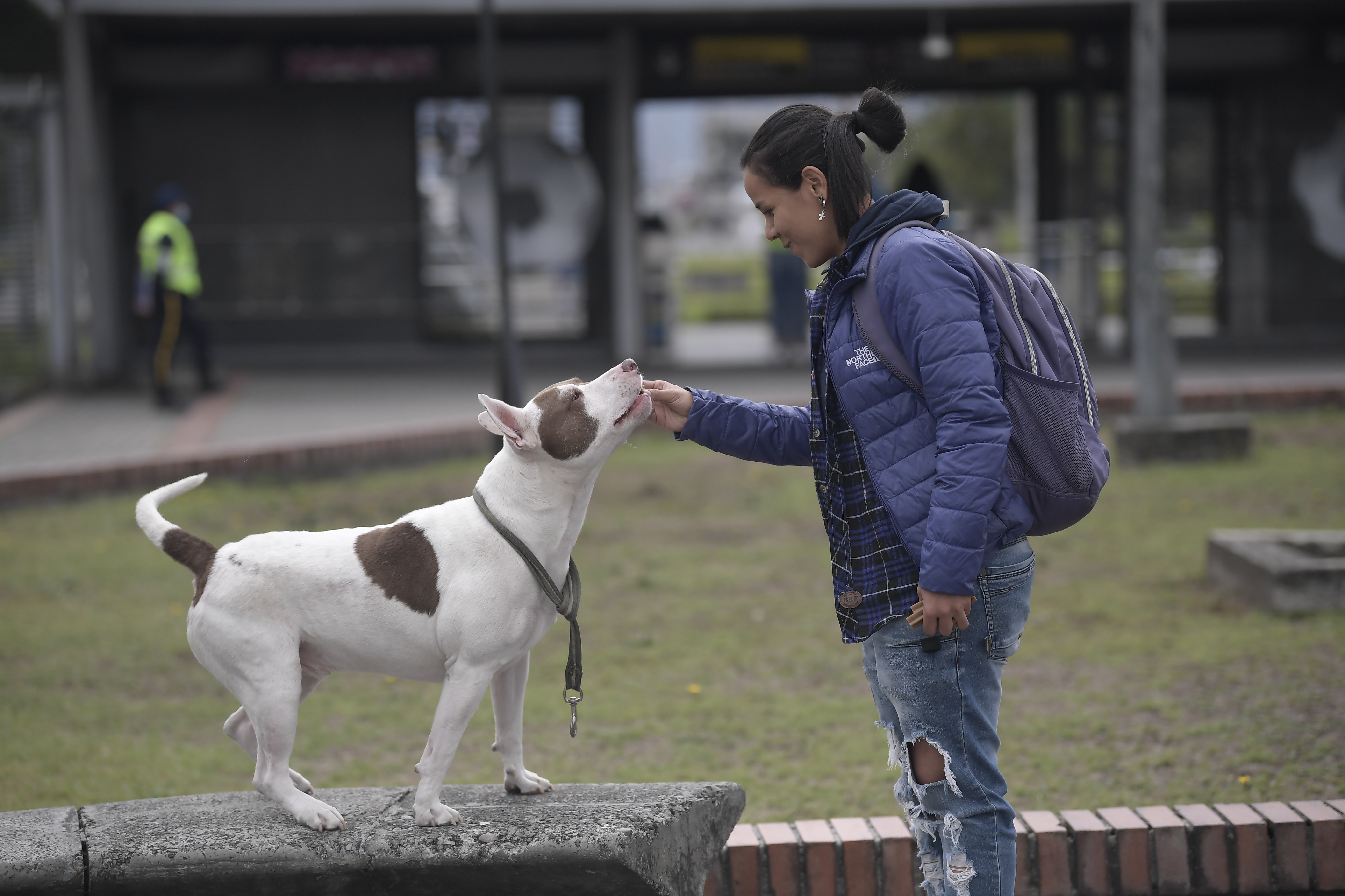 Perros en Transmilenio