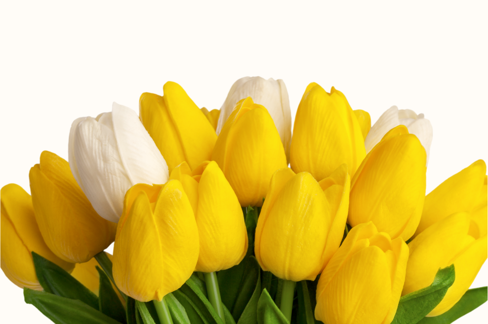 ¿Cuándo se regalan flores amarillas en septiembre de 2024?  Descúbrelo aquí