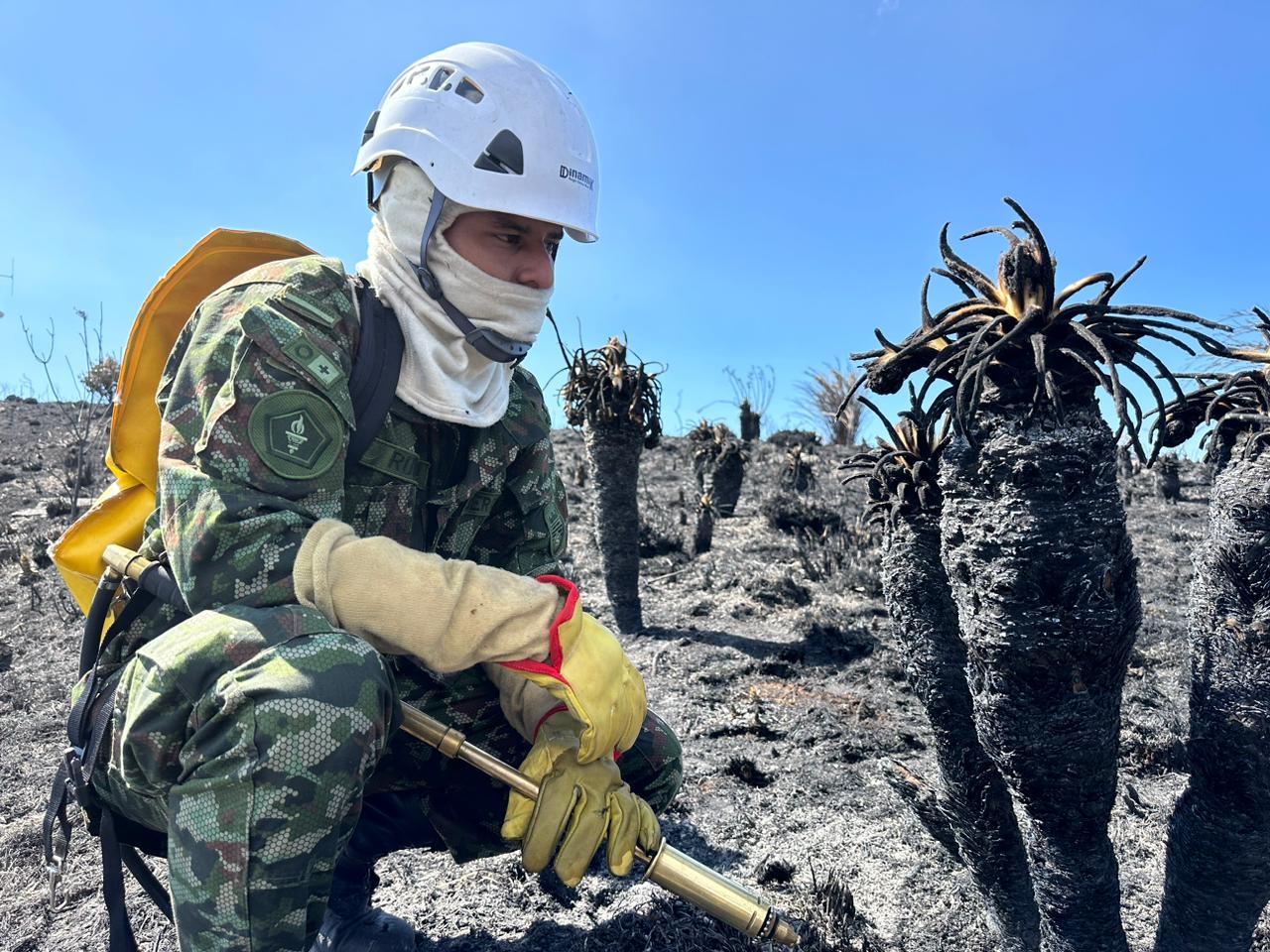 Ejército hace presencia en el páramo de Santurbán para verificar efectos del incendio