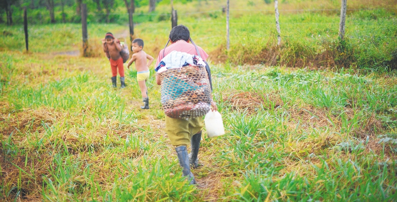 Protegen a indígenas que se enfrentan a la banda criminal La Cordillera