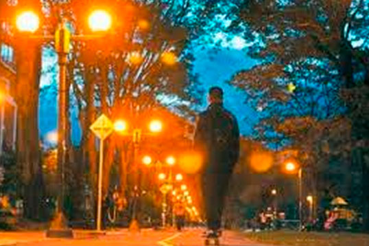 De las 337 mil luminarias que tiene Bogotá se han modernizado con luz LED más de 10 mil