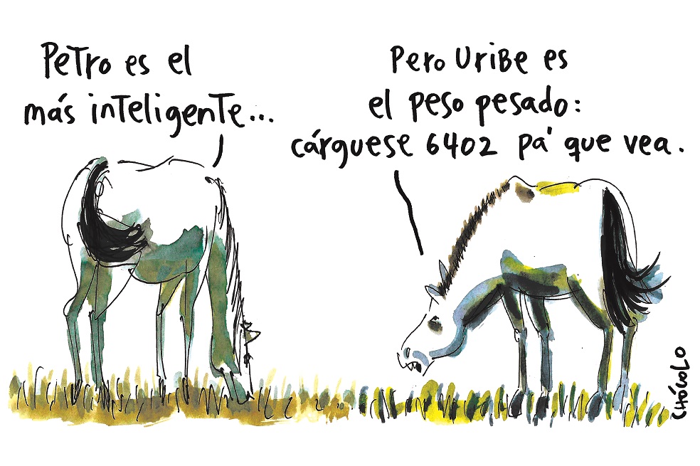 Chócolo