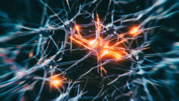 La ciencia da un paso más para revelar algunos misterios de la esclerosis múltiple