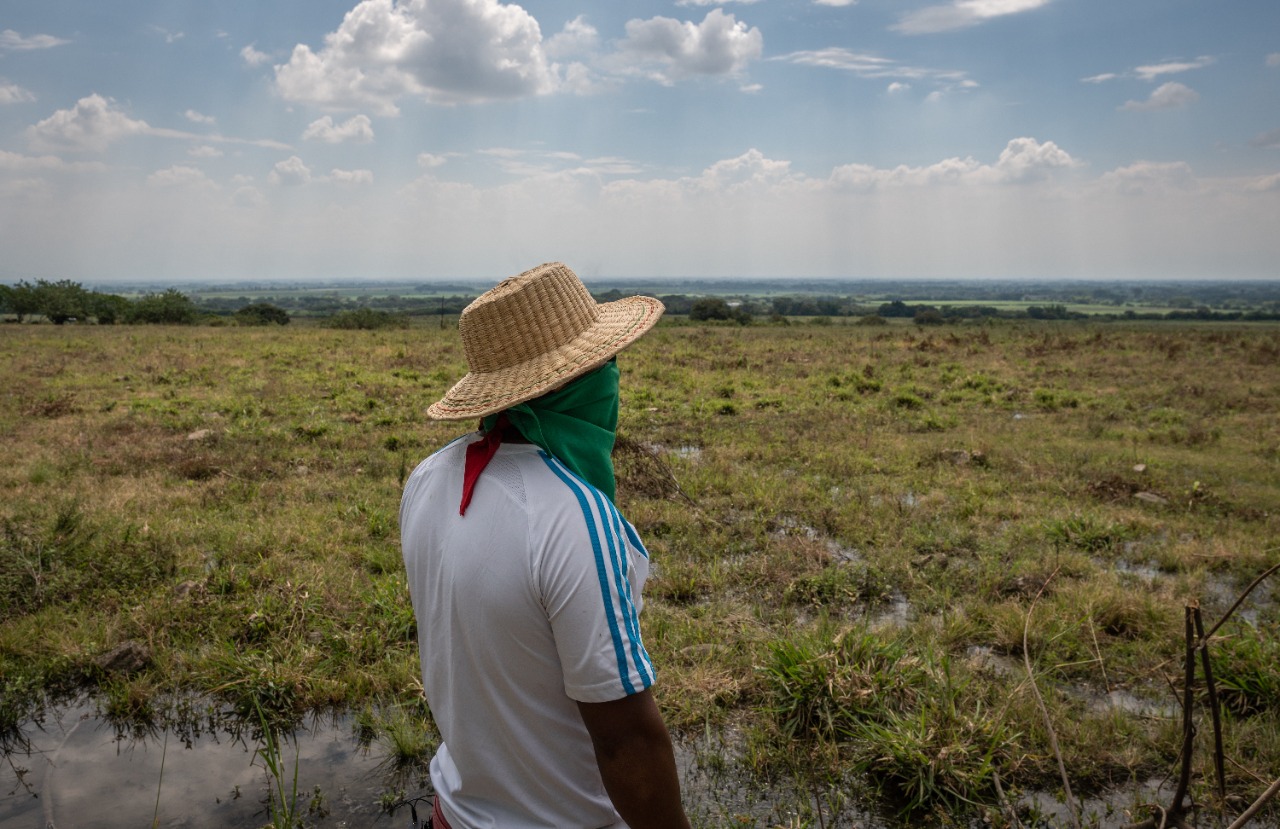 Desarrollo: las dos visiones detrás de la tormenta por las tierras en el Cauca