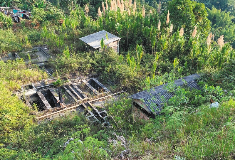 El corregimiento que lleva más de 20 años tomando agua sucia en el Cauca